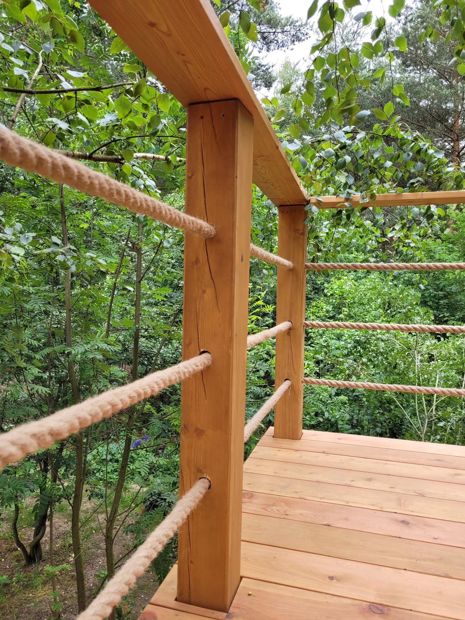 Drewniany pomost wśród drzew — ForRest Carpentry